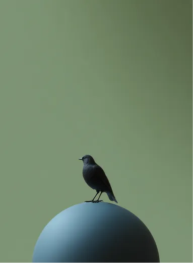 Small bird perched on top of a smooth round surface against a muted green background.